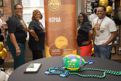 NSPAA-13